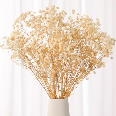 Dried Baby's Breath Bouquet